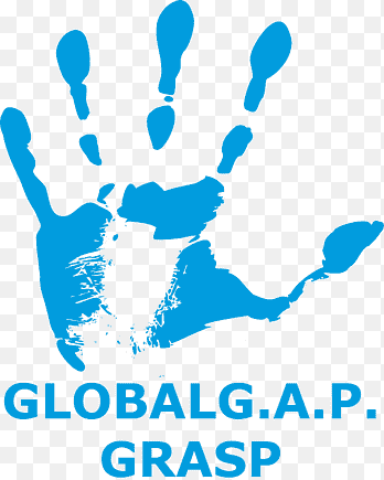 GRASP logo